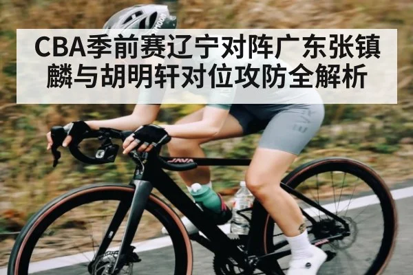 CBA季前赛辽宁对阵广东张镇麟与胡明轩对位攻防全解析