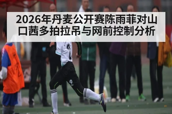 2026年丹麦公开赛陈雨菲对山口茜多拍拉吊与网前控制分析